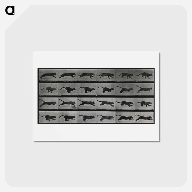 アートポストカード-Running Cat
 - エドワード マイブリッジ Postcard.