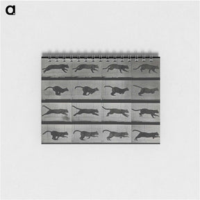 1-26_Eadweard-Muybridge_memo