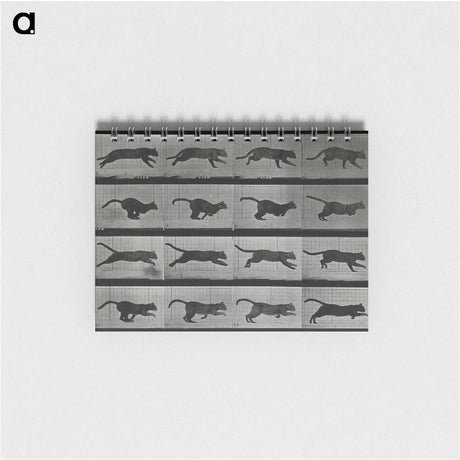 1-26_Eadweard-Muybridge_memo