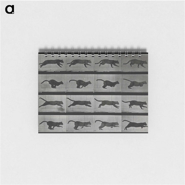 1-26_Eadweard-Muybridge_memo