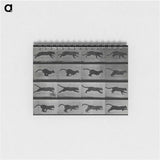 アートメモ帳-Running Cat
 - エドワード マイブリッジ Memo.