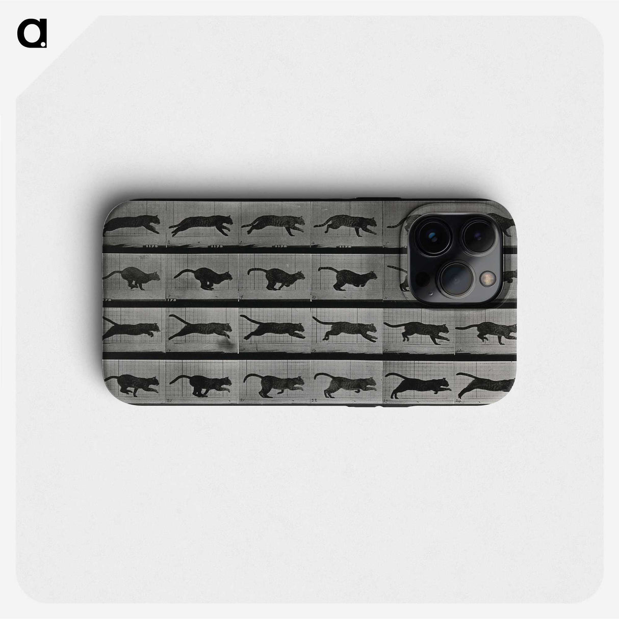 1-26_Eadweard-Muybridge_phone