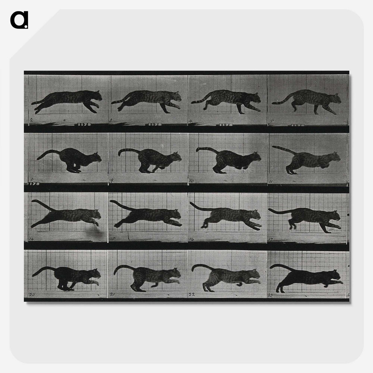 1-26_Eadweard-Muybridge_picture-crop