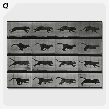 1-26_Eadweard-Muybridge_picture-crop