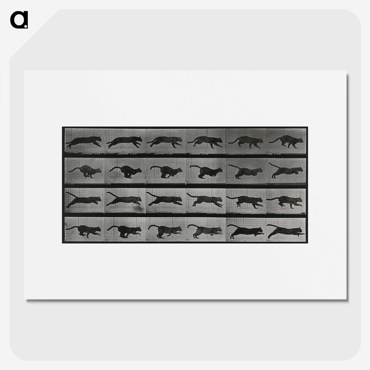 1-26_Eadweard-Muybridge_picture