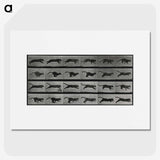 1-26_Eadweard-Muybridge_picture