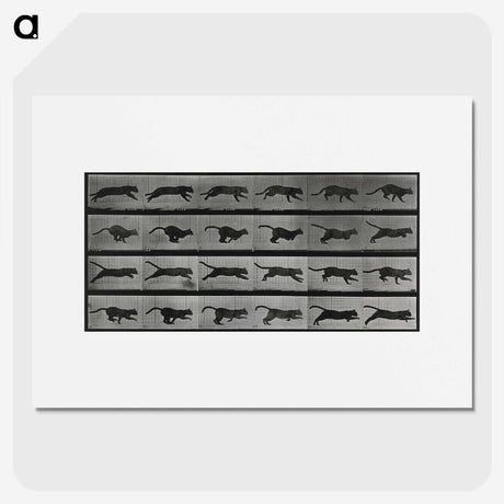 1-26_Eadweard-Muybridge_picture