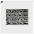 1-26_Eadweard-Muybridge_postcard