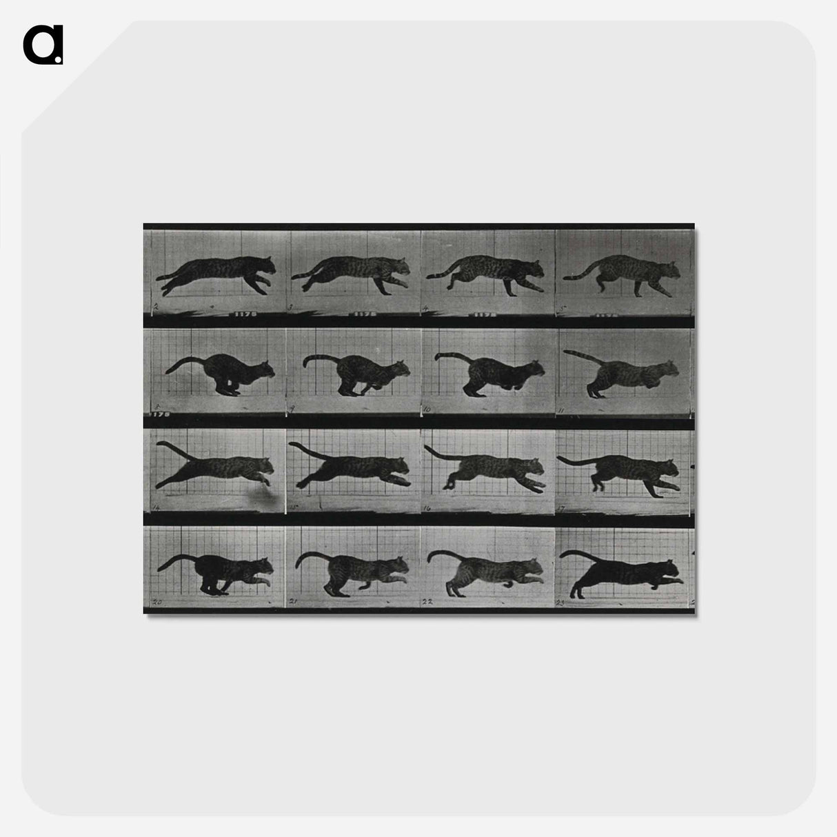 アートポストカード-Running Cat
 - エドワード マイブリッジ Postcard.