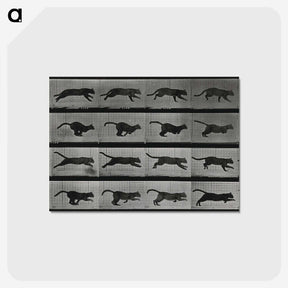 1-26_Eadweard-Muybridge_postcard