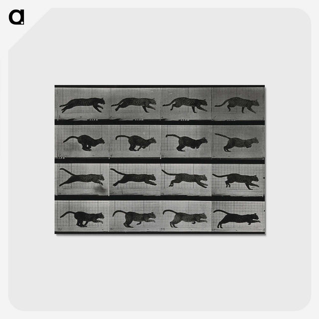 1-26_Eadweard-Muybridge_postcard