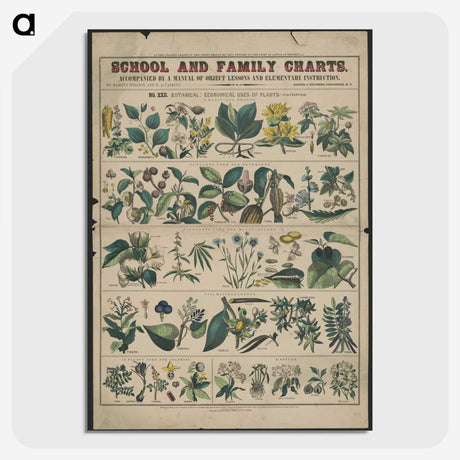 1-26_Education-Charts_picture-crop