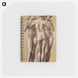 アートメモ帳-Venus Concordia: Study of the Three Graces - エドワード バーン ジョーンズ Memo.