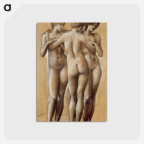 アートポストカード-Venus Concordia: Study of the Three Graces - エドワード バーン ジョーンズ Postcard.