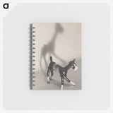 1-26_Eric-Lee-Johnson_memo