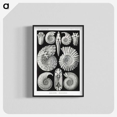 1-26_Ernst-Haeckel_blk-crop