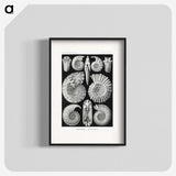 1-26_Ernst-Haeckel_blk