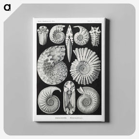 1-26_Ernst-Haeckel_canvas