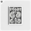 1-26_Ernst-Haeckel_memo
