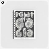 1-26_Ernst-Haeckel_memo