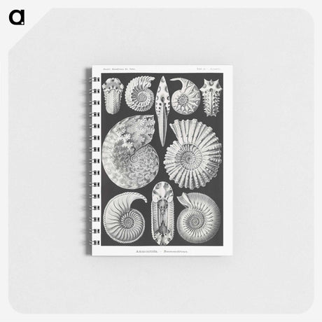 1-26_Ernst-Haeckel_memo