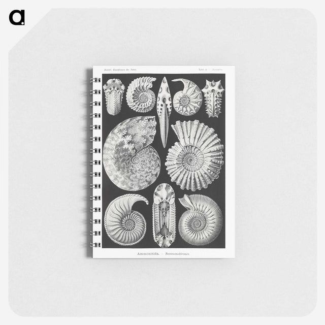 1-26_Ernst-Haeckel_memo