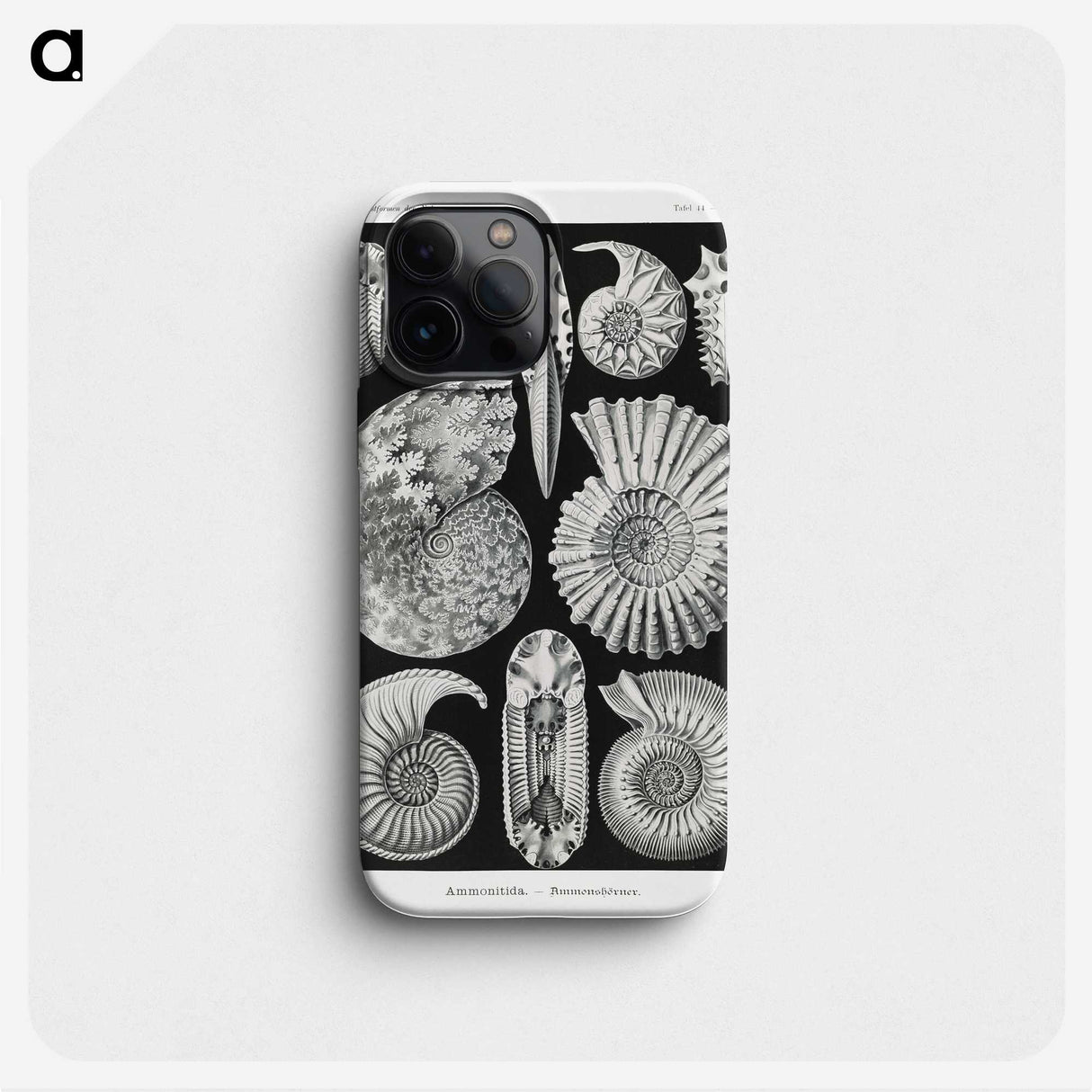 1-26_Ernst-Haeckel_phone