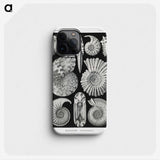 1-26_Ernst-Haeckel_phone