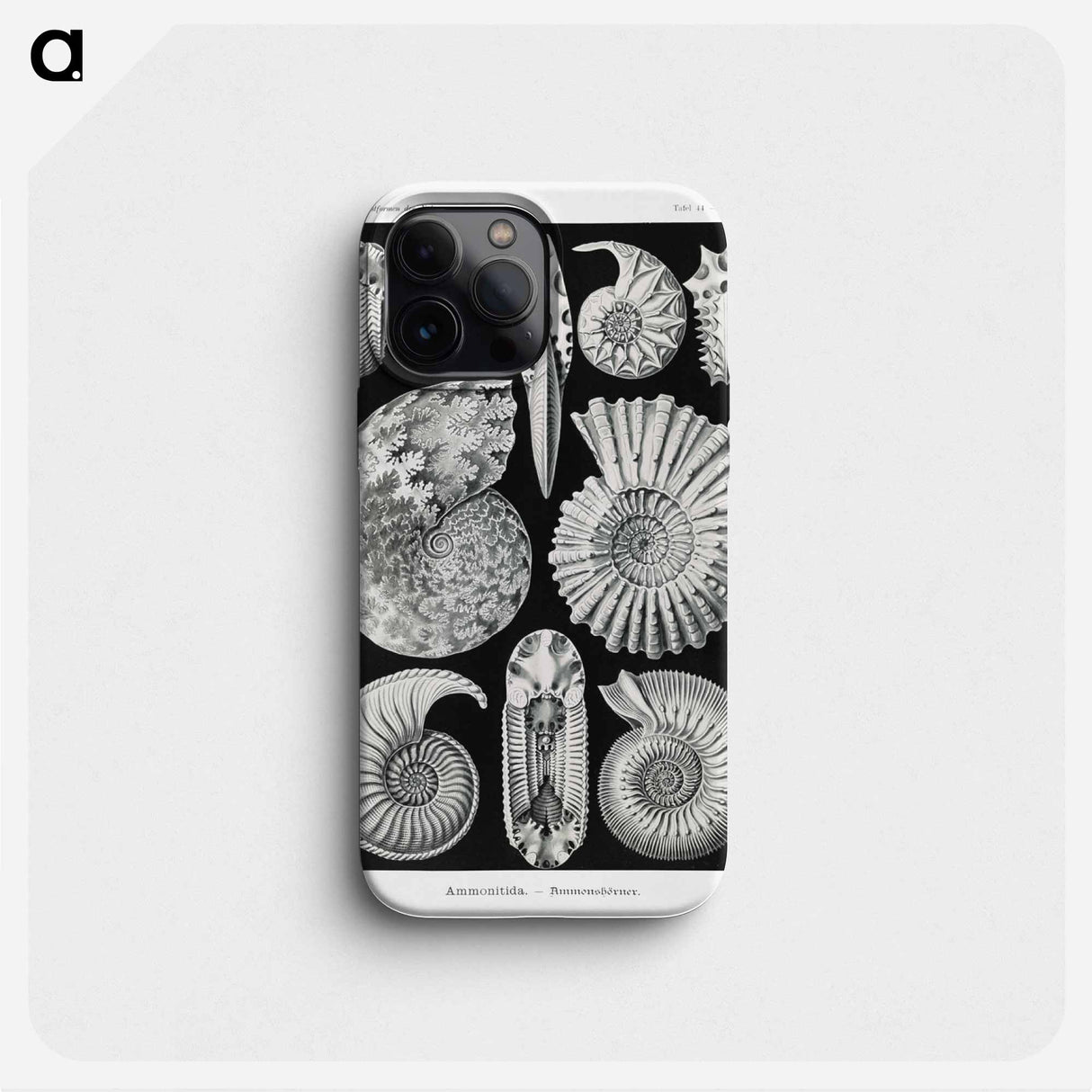 Ammonitida–Ammonshörner - エルンスト ヘッケル Phone Case.
