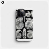 Ammonitida–Ammonshörner - エルンスト ヘッケル Phone Case.