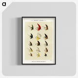 1-26_Favorite-Flies-and-Their-History_blk-crop