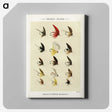 1-26_Favorite-Flies-and-Their-History_canvas