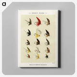 1-26_Favorite-Flies-and-Their-History_canvas