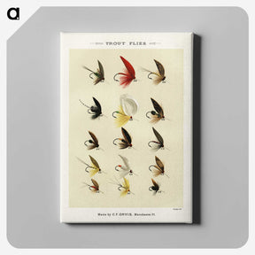 1-26_Favorite-Flies-and-Their-History_canvas