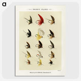 1-26_Favorite-Flies-and-Their-History_picture-crop