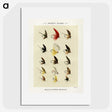 1-26_Favorite-Flies-and-Their-History_picture