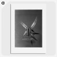 1-26_Frederick-Charles-Brockett_picture
