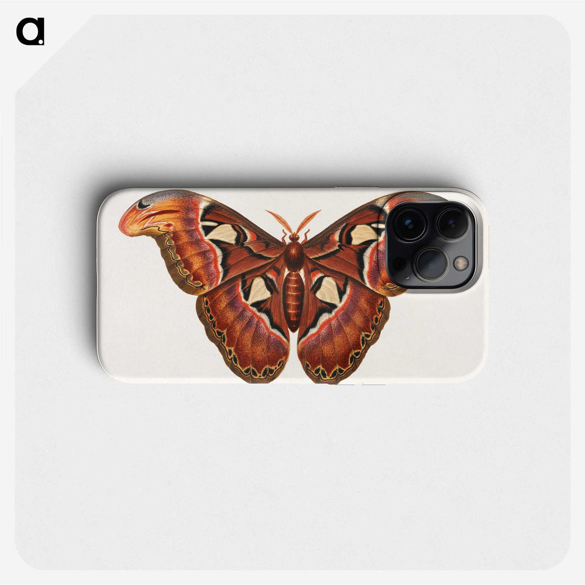 1-26_George-Edwards_phone