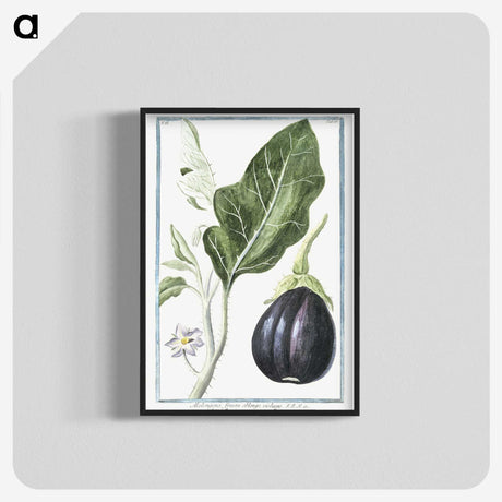 1-26_Hortus-Romanus-Botanical-Plates_blk-crop