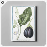 1-26_Hortus-Romanus-Botanical-Plates_canvas