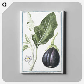 1-26_Hortus-Romanus-Botanical-Plates_canvas