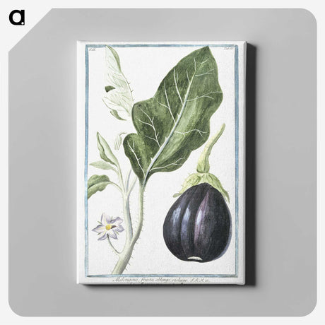 1-26_Hortus-Romanus-Botanical-Plates_canvas