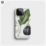 1-26_Hortus-Romanus-Botanical-Plates_phone