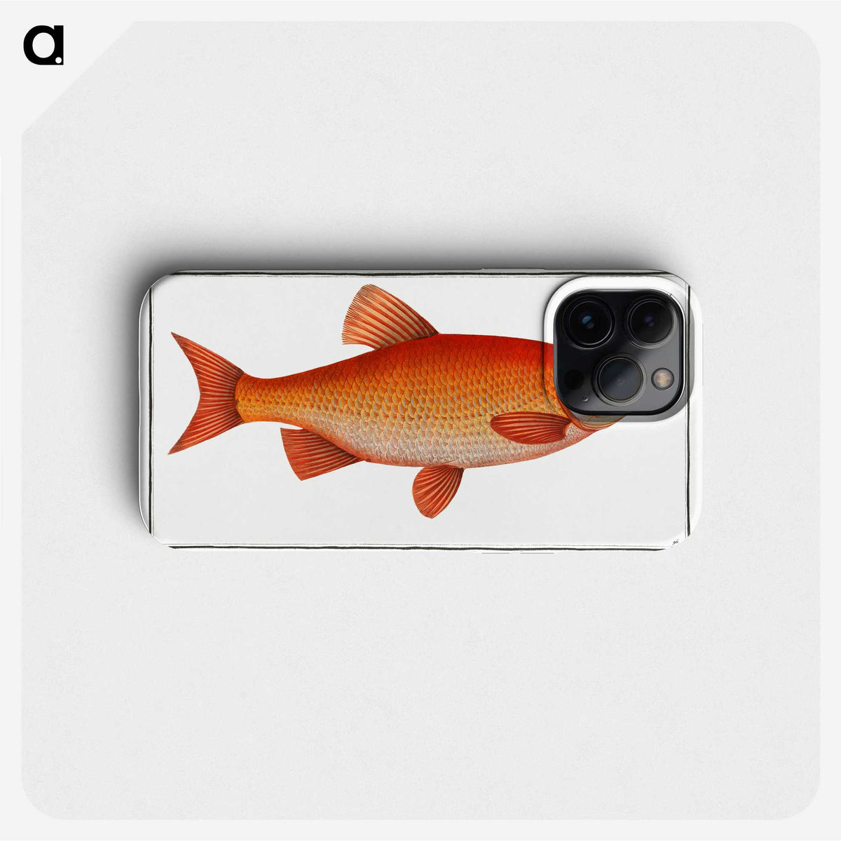 1-26_Ichtyologie-ou-Histoire-naturelle_phone