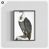 1-26_Indian-Zoology_blk-crop