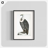 1-26_Indian-Zoology_blk