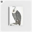 1-26_Indian-Zoology_memo