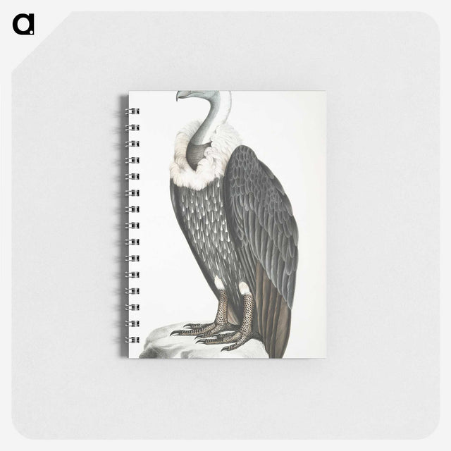 1-26_Indian-Zoology_memo