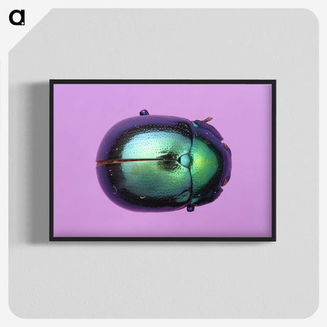 1-26_Insects-Unlocked-Project_blk-crop