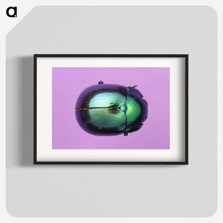 1-26_Insects-Unlocked-Project_blk